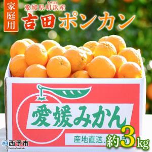 ふるさと納税 西予市 【先行予約】<愛媛県明浜産 天晴ポンカン(吉田ポンカン) 3kg>　ぽんかん　...