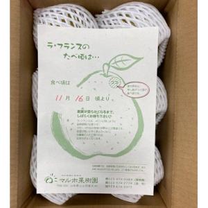 ふるさと納税 上山市 ラフランス 3kg 大玉...の詳細画像2