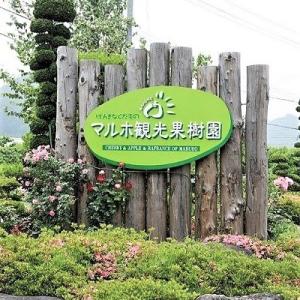 ふるさと納税 上山市 ラフランス 3kg 大玉...の詳細画像3
