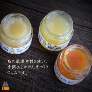 ふるさと納税 徳之島町 《お試し》太陽(てぃだ...の詳細画像2