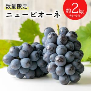 ふるさと納税 高原町 【数量限定】久保ぶどう園の高原町産ニューピオーネ(約2kg)[宮崎県産 3〜4房 湧水]　TF273