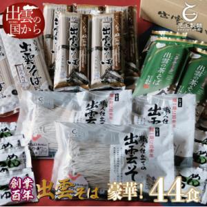 ふるさと納税 出雲市 豪華!出雲そば尽くし　全4種44人前　常温保存まとめ買い【2-107】