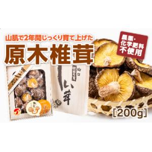 ふるさと納税 山口市 山口徳地産原木栽培乾しいたけ200g D103