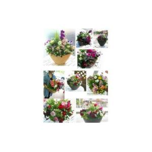 ふるさと納税 山口市 花うるるのおまかせプレミ...の詳細画像2
