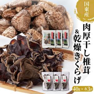 ふるさと納税 国東市 国東産の肉厚干し椎茸(冬〓 どんこ)&amp;乾燥きくらげ_29060A