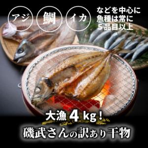 ふるさと納税 国東市 大漁4kg!磯武さんの訳...の詳細画像1