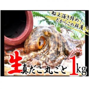 ふるさと納税 国東市 船上活き締め!生たこ丸ごと約1kg(約1〜4杯)_1810R
