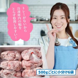 ふるさと納税 国東市 大容量でお届け! 大分県...の詳細画像1