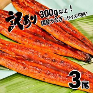ふるさと納税 境町 〈7日以内発送〉【訳あり】さかい河岸水産の国産うなぎ3尾 300g以上! ※サイ...