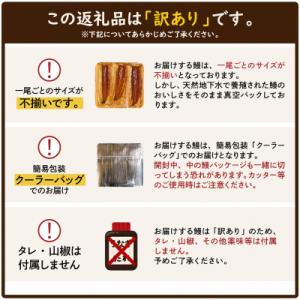 ふるさと納税 境町 2026年9月発送【訳あり...の詳細画像1