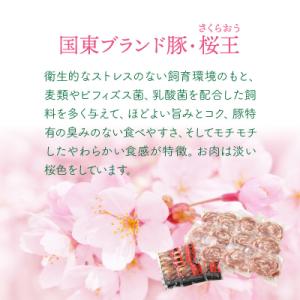 ふるさと納税 国東市 桜王豚のやわらかロールス...の詳細画像2
