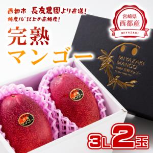 ふるさと納税 西都市 糖度14度以上2玉計900g　長友農園完熟マンゴー(3L×2)宮崎県西都産【先...