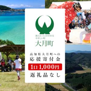 ふるさと納税 大月町 高知県大月町への応援寄附金【返礼品なし】