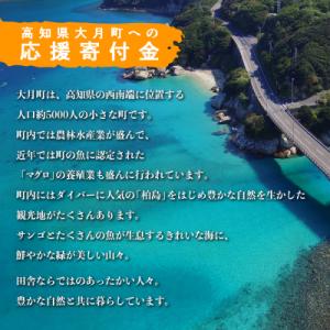 ふるさと納税 大月町 高知県大月町への応援寄附...の詳細画像1