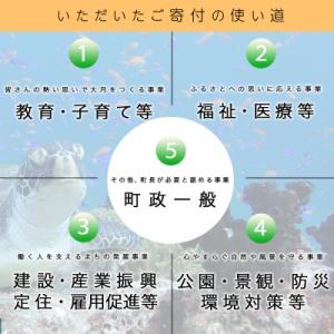ふるさと納税 大月町 高知県大月町への応援寄附...の詳細画像2