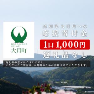 ふるさと納税 大月町 高知県大月町への応援寄附...の詳細画像3