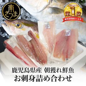 ふるさと納税 南さつま市 ★漁師厳選★ お刺身 詰め合わせ(4種) 朝獲れ 直送 冷蔵 刺身 さしみ