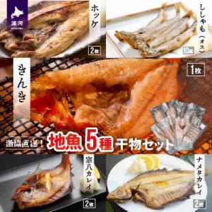 ふるさと納税 浦河町 漁協直送!地魚5種の干物セット [02-1101]