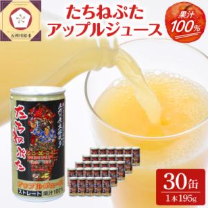 ふるさと納税 五所川原市 たちねぷたアップルジュース果汁100% 缶 りんごジュース ねぶた