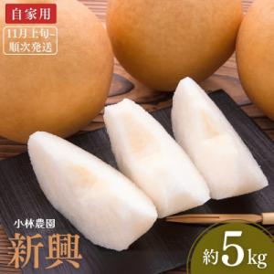 ふるさと納税 三条市 先行予約 和梨 新興 自家用 約5kg [11月上旬から発送予定] [小林農園...