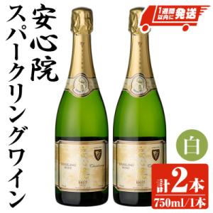 ふるさと納税 宇佐市 安心院スパークリングワイン白 750ml 2本セット【107302602】【時...