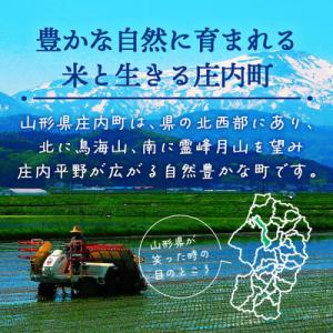 ふるさと納税 庄内町 【新米受付】R8年産 つ...の詳細画像2