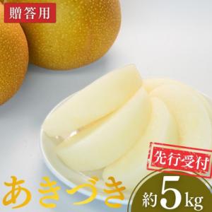 ふるさと納税 三条市 先行受付 和梨 あきづき 約5kg 令和8年度 新潟県三条市産 梨 [小林農園]【012P045】
