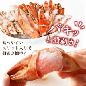 ふるさと納税 気仙沼市 まるずわいがに 肩脚肉...の詳細画像1