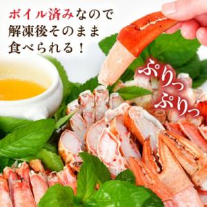 ふるさと納税 気仙沼市 まるずわいがに 肩脚肉...の詳細画像2