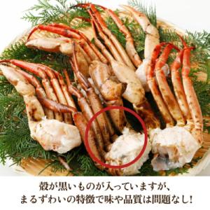 ふるさと納税 気仙沼市 まるずわいがに 肩脚肉...の詳細画像3