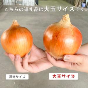 ふるさと納税 南あわじ市 【あさひサンファーム...の詳細画像1