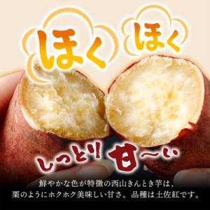 ふるさと納税 室戸市 【10月お届け】【訳あり...の詳細画像1