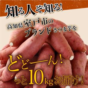 ふるさと納税 室戸市 【12月お届け】【訳あり...の詳細画像1