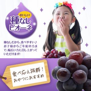 ふるさと納税 五所川原市 【2026年10月中...の詳細画像1