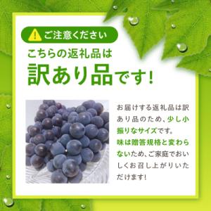 ふるさと納税 五所川原市 【2026年10月中...の詳細画像2