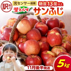 ふるさと納税 五所川原市 【2026年11月後半発送】【訳あり】青森県産 葉とらず サンふじ りんご...