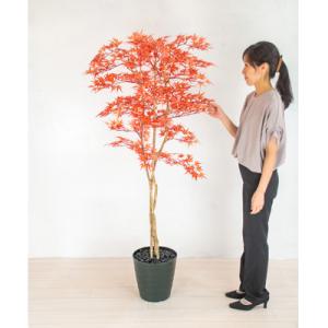 ふるさと納税 越知町 モミジ(赤)(造花)Go-511