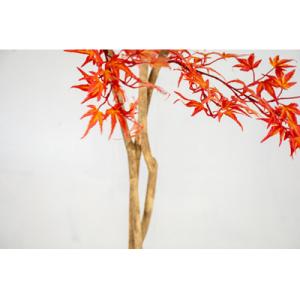 ふるさと納税 越知町 モミジ(赤)(造花)Go...の詳細画像2