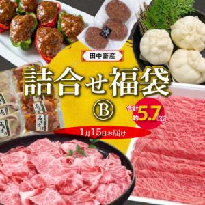 ふるさと納税 天草市 【福袋】田中畜産 詰合せ福袋　B_S001-F02