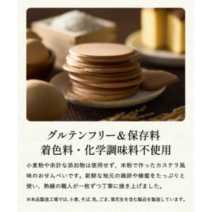 ふるさと納税 関市 【訳あり】お徳用【ちょっと...の詳細画像2