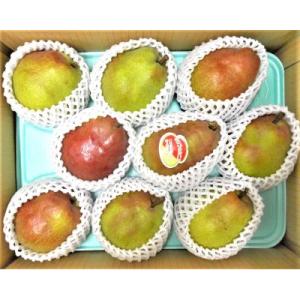 ふるさと納税 上山市 西洋梨(カリフォルニア)3kg　ご家庭用　0017-2614