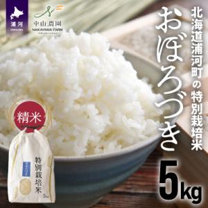 ふるさと納税 浦河町 【新米発送!】北海道浦河町の特別栽培米「おぼろづき」精米(5kg×1袋)[37...