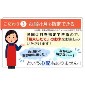 ふるさと納税 甲佐町 令和7年産『甲佐の輝き』...の詳細画像3