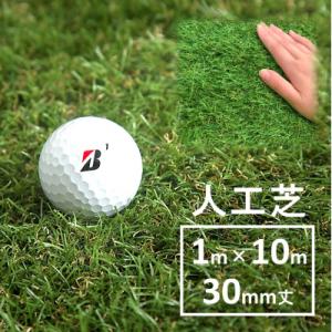 ふるさと納税 国東市 まるで天然芝のような触り心...の商品画像