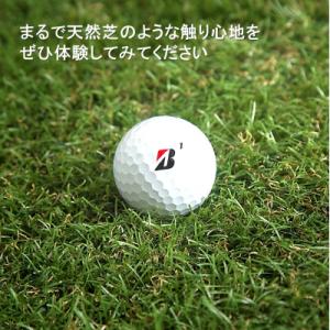 ふるさと納税 国東市 まるで天然芝のような触り...の詳細画像3