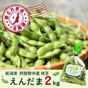 ふるさと納税 阿賀野市  【採れたて直送】 朝採り 枝豆 「えんだま」 2kg (250g×8袋) 新潟県産 阿賀野市産