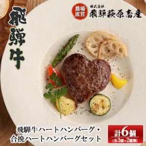 ふるさと納税 下呂市 【冷凍】飛騨牛ハートハンバーグ・合挽ハートハンバーグ 各3個【22-13】