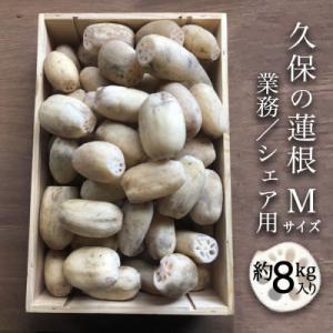 ふるさと納税 徳島市 蓮根 業務・シェア用「Mサイズ」約8kg入【BR005】