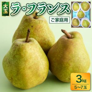 ふるさと納税 上山市 ラフランス 3kg 大玉 ご家庭用 5玉~7玉 7L~5L 西洋梨 ラ・フラン...