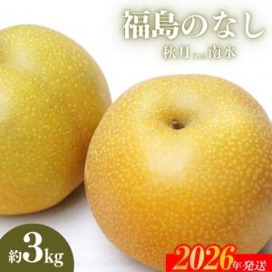 ふるさと納税 福島市 福島のなし　秋月または南水　約3kg【2026年発送　先行受付】No.2185
